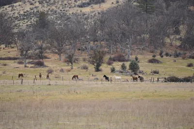 DSC_3073 (Large).JPG